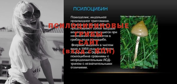 ГАЛЛЮЦИНОГЕННЫЕ ГРИБЫ Алексеевка
