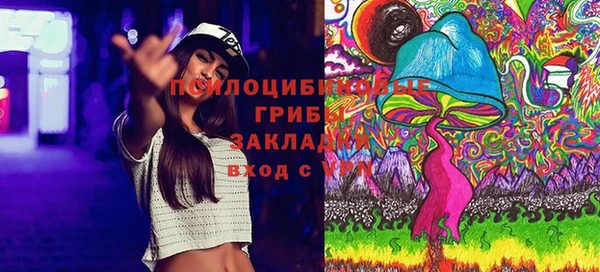 ГАЛЛЮЦИНОГЕННЫЕ ГРИБЫ Алексеевка
