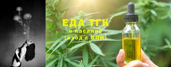 индика Алзамай