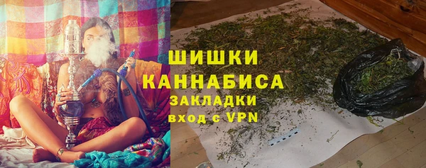 индика Алзамай
