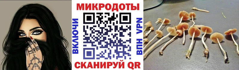 Купить где  Анива  Псилоцибиновые грибы мицелий 